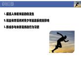 初中  生物  北師大版（2024）  七年級下冊4.11.3 運動的形成 課件