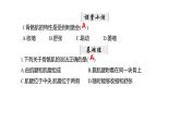 初中  生物  北師大版（2024）  七年級(jí)下冊(cè)4.11.2 人體的骨骼肌+411.3 運(yùn)動(dòng)的完成 課件