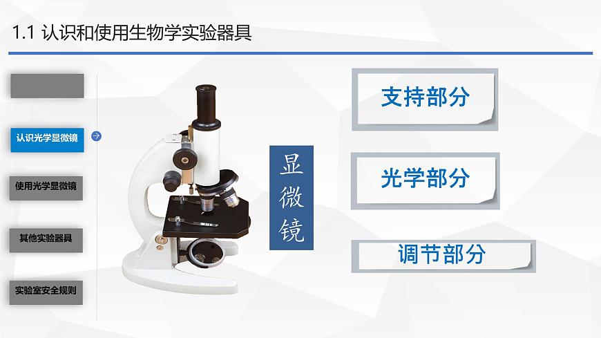 初中  生物  苏教版（2024）  七年级上册1.1.1 走进生物学实验室 课件第3页