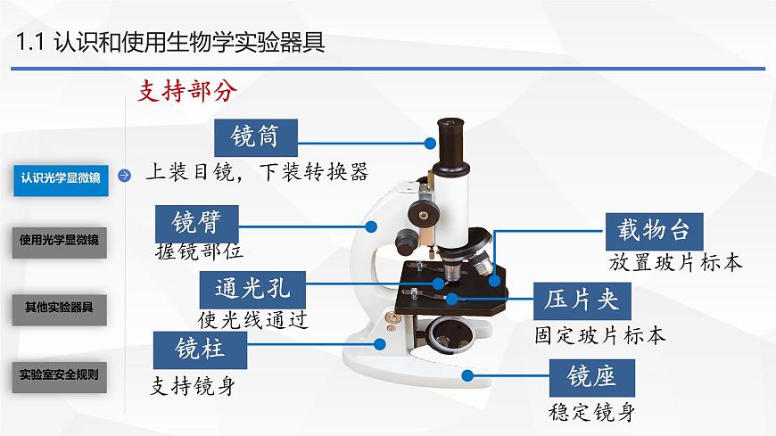 初中  生物  苏教版（2024）  七年级上册1.1.1 走进生物学实验室 课件第4页