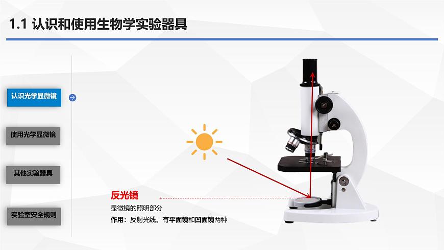 初中  生物  苏教版（2024）  七年级上册1.1.1 走进生物学实验室 课件第8页