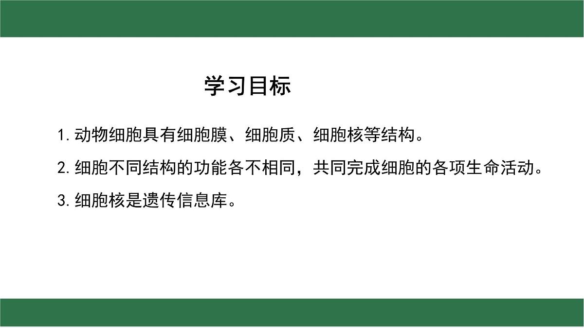 初中  生物  苏教版（2024）  七年级上册1.1.2 动物细胞的结构与功能 课件第2页