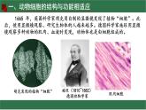 初中  生物  蘇教版（2024）  七年級上冊1.1.2 動物細(xì)胞的結(jié)構(gòu)與功能 課件