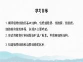 初中  生物  蘇教版（2024）  七年級上冊1.1.3 植物細(xì)胞的結(jié)構(gòu)與功能 課件