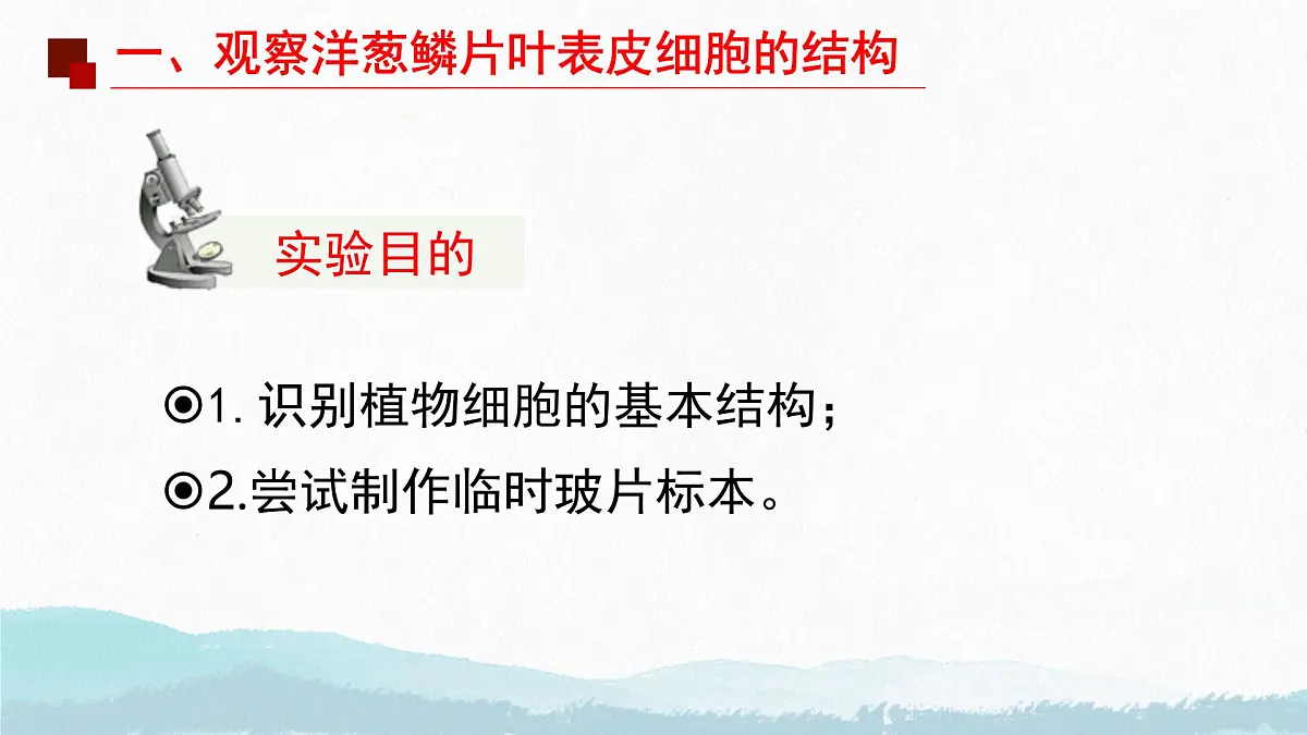 初中 生物 苏教版（2024） 七年级上册1.1.3 植物细胞的结构与功能 课件第4页