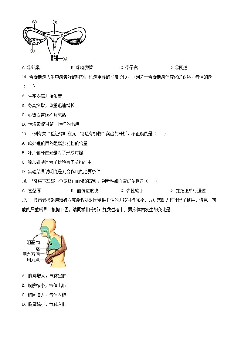 精品解析：新疆巴音郭楞蒙古自治州2024-2025学年七年级下学期期末生物试题（原卷版）第3页