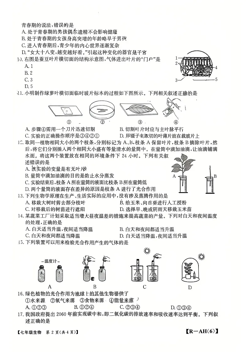【7生（RJ）期中】蚌埠市蚌山区2024-2025学年七年级下学期4月期中生物试题第2页