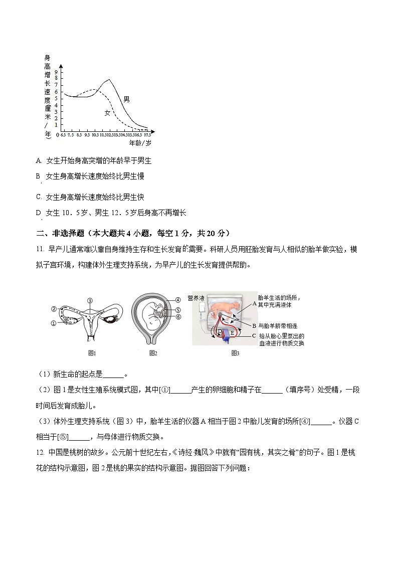 【7生（RJ）期中】池州市多校2024-2025学年七年级下学期期中生物试题第3页
