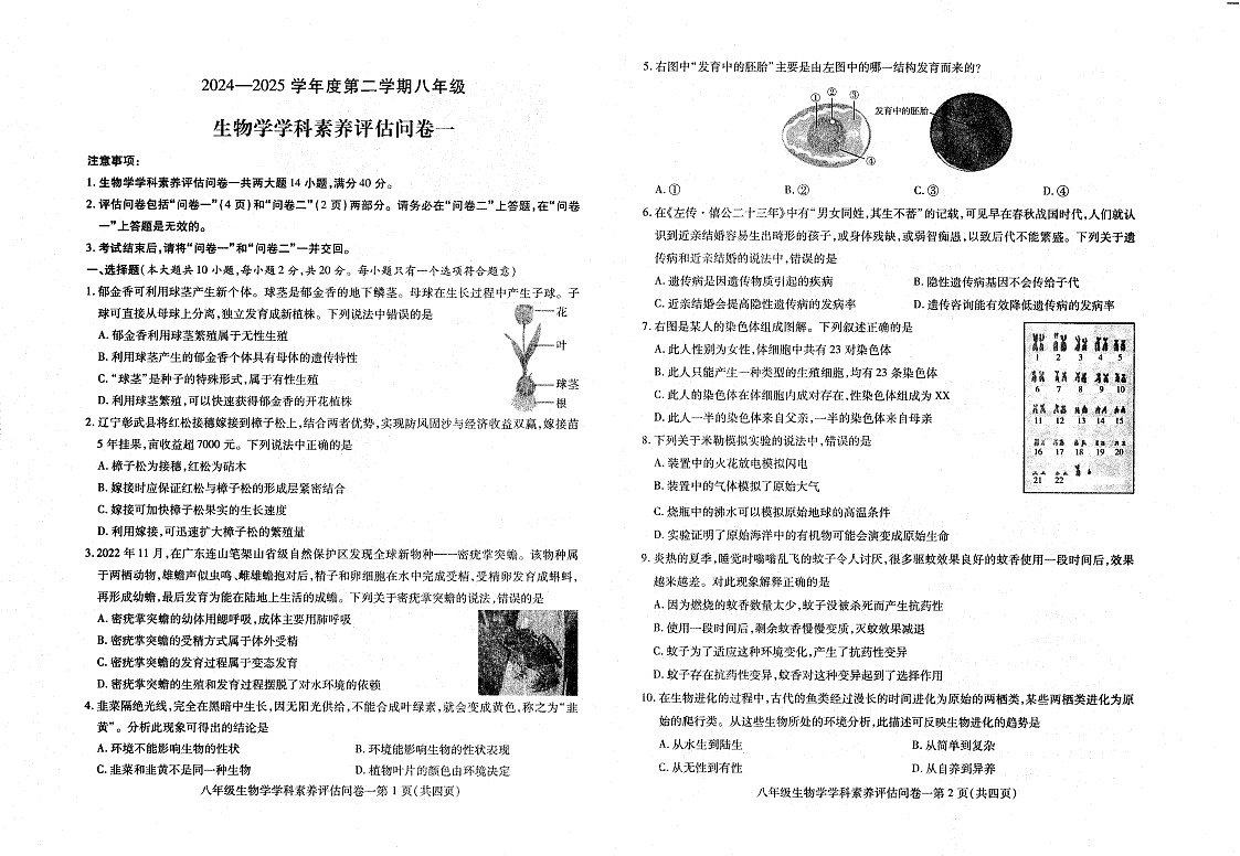 【8生（RJ）期中】六安市霍邱县2024-2025学年八年级下学期4月期中生物试题第1页