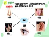 【核心素養(yǎng)目標】人教版初中生物八年級上冊4.6.1《人體對外界環(huán)境的感知》第1課時 課件+教案+習題