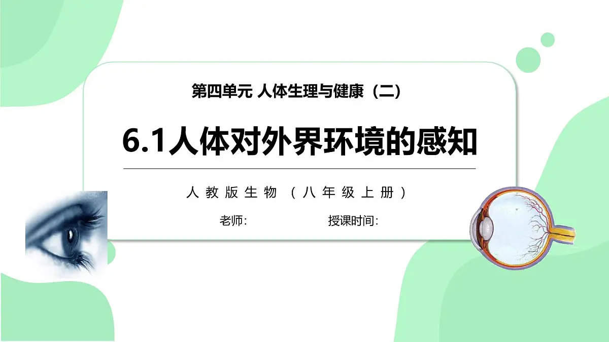 4.6.1《人体对外界环境的感知》第2课时 课件第1页