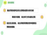 【核心素養(yǎng)目標】人教版初中生物八年級上冊4.6.1《人體對外界環(huán)境的感知》第2課時   課件+教案+習題