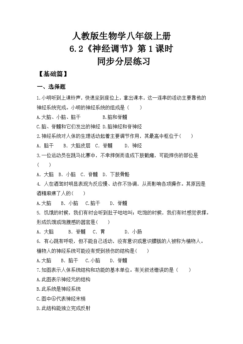 4.6.2《神经调节》 第1课时 同步分层练习（含答案）第1页