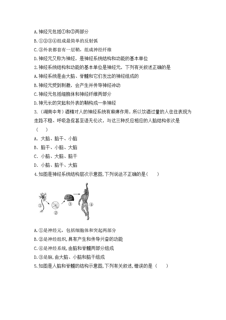 4.6.2《神经调节》 第1课时 同步分层练习（含答案）第3页