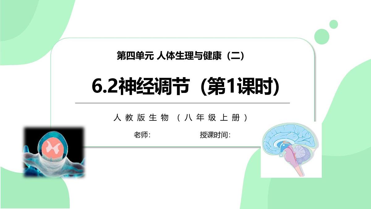 4.6.2《神经调节》第1课时 课件第1页