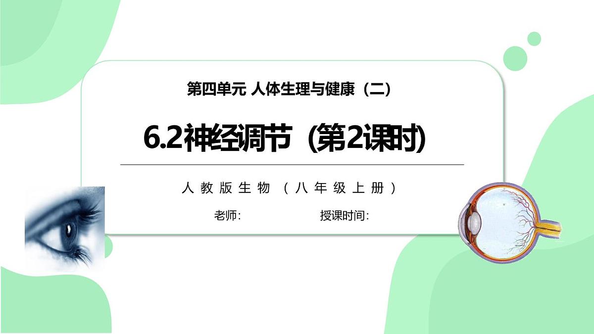 4.6.2《神经调节》第2课时 课件第1页