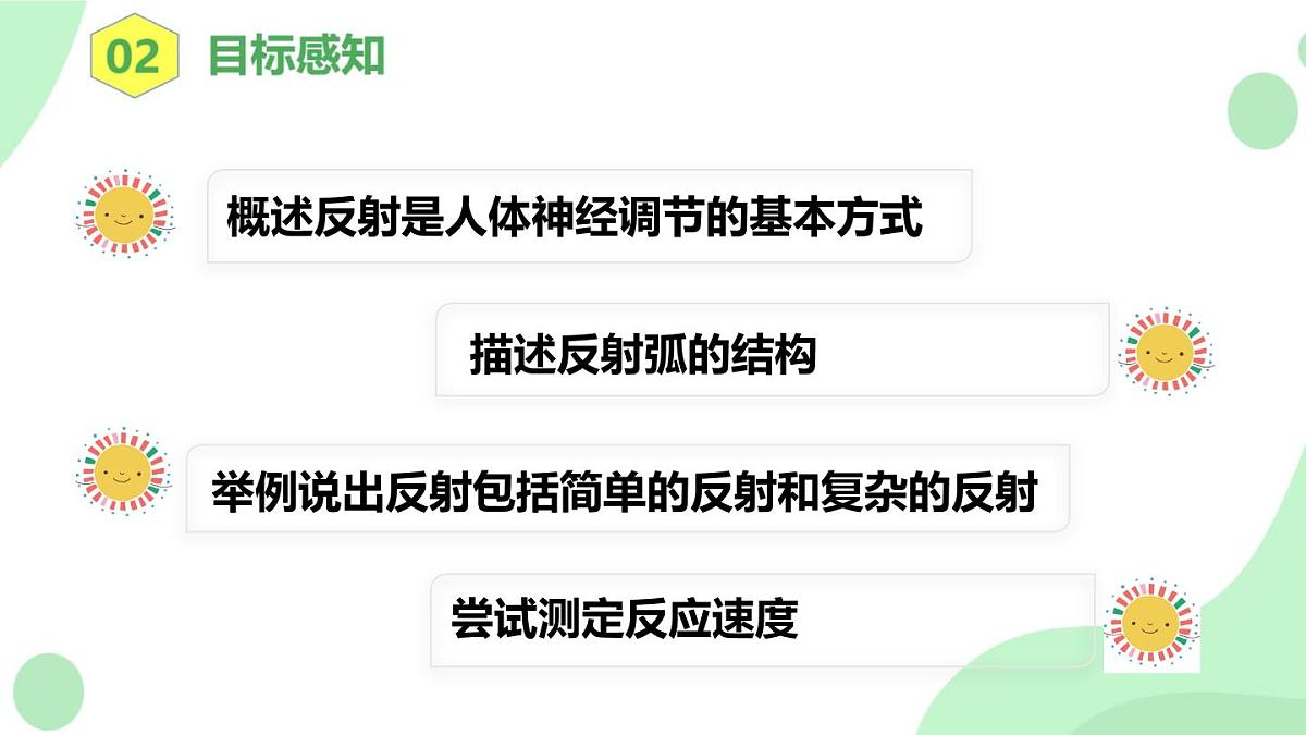 4.6.2《神经调节》第2课时 课件第4页