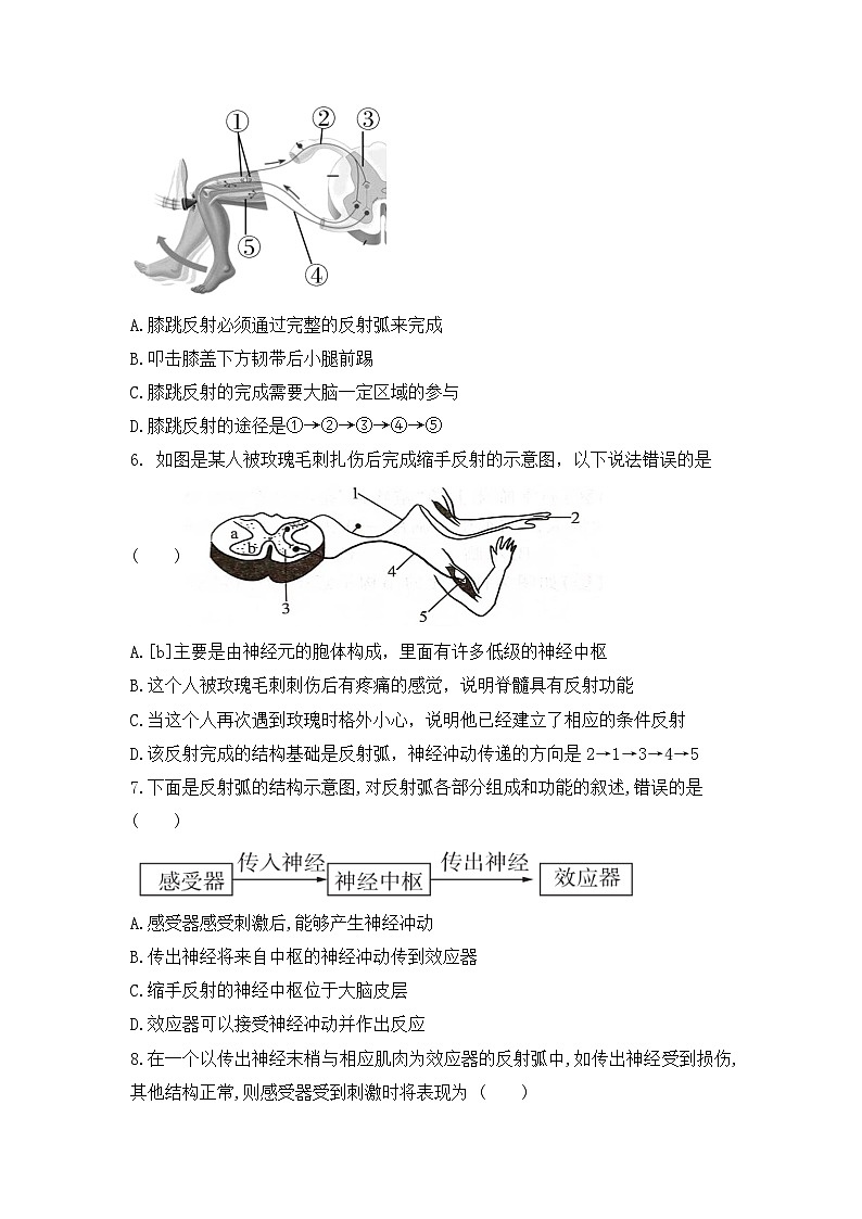 4.6.2《神经调节》 第2课时 同步分层练习（含答案）第2页