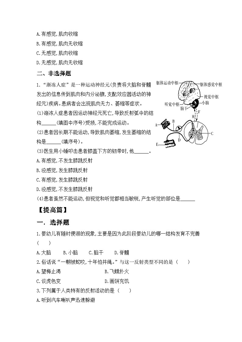4.6.2《神经调节》 第2课时 同步分层练习（含答案）第3页