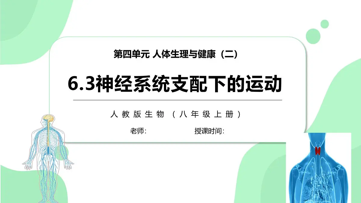 4.6.4《激素调节》 课件第1页