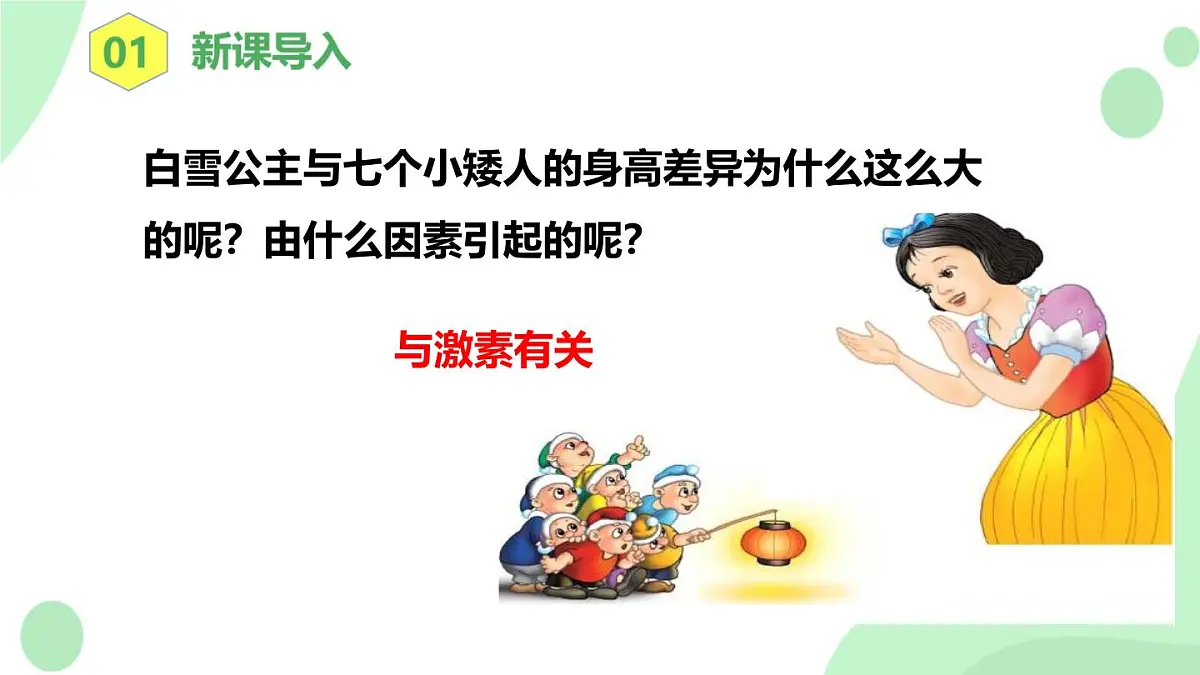 4.6.4《激素调节》 课件第3页