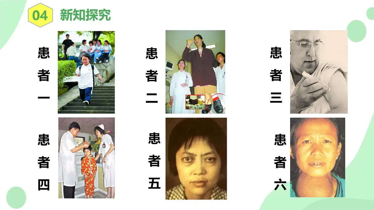 4.6.4《激素调节》 课件第6页