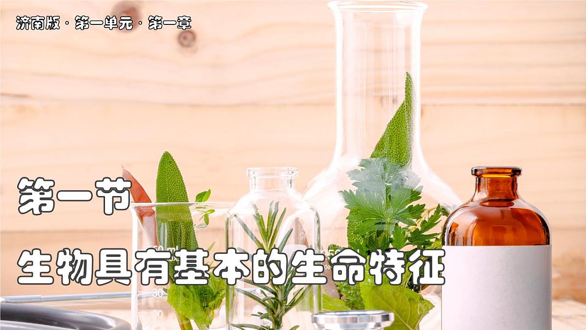 济南版生物（2024）七年级上册 1.1.1 生物具有基本的生命特征 课件第1页