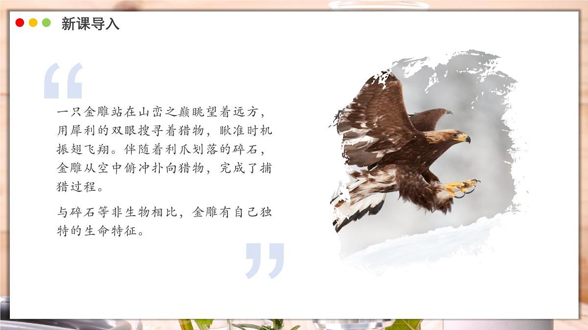 济南版生物（2024）七年级上册 1.1.1 生物具有基本的生命特征 课件第2页
