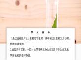 濟南版生物（2024）七年級上冊 1.1.1 生物具有基本的生命特征 課件
