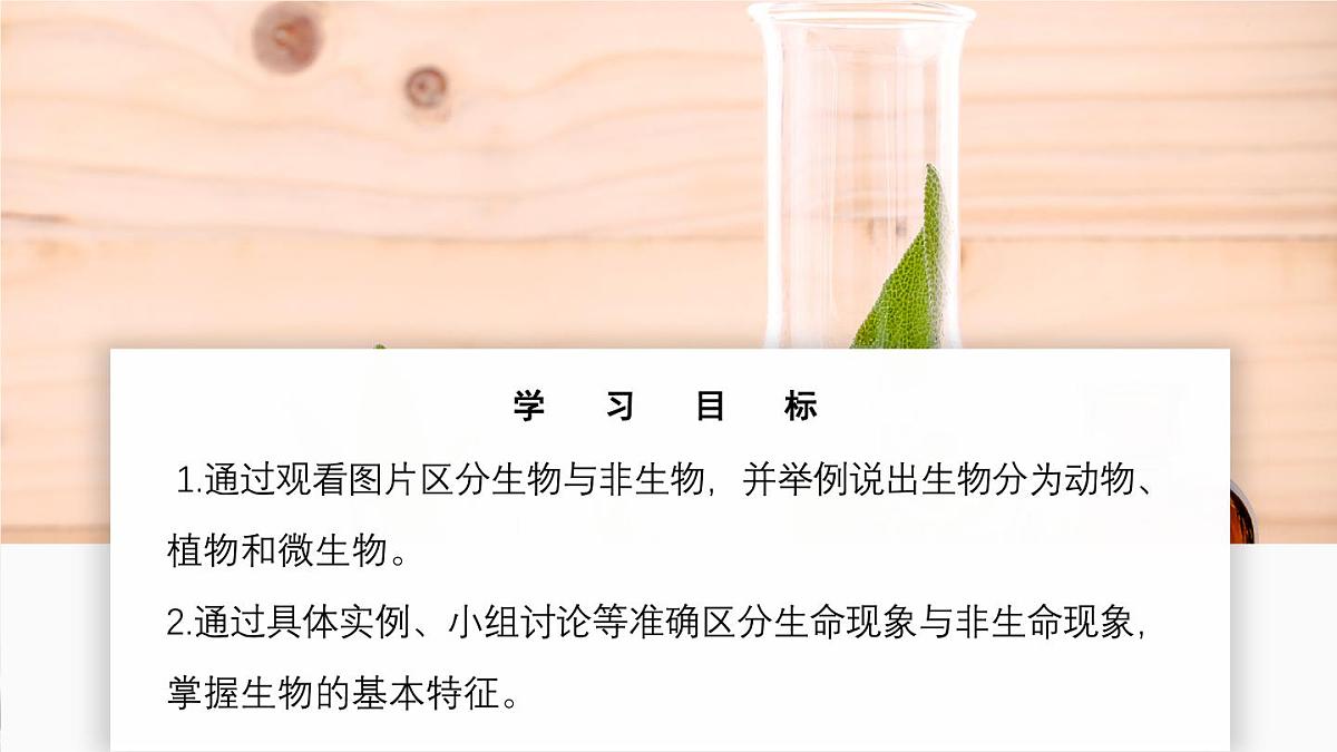 济南版生物（2024）七年级上册 1.1.1 生物具有基本的生命特征 课件第3页