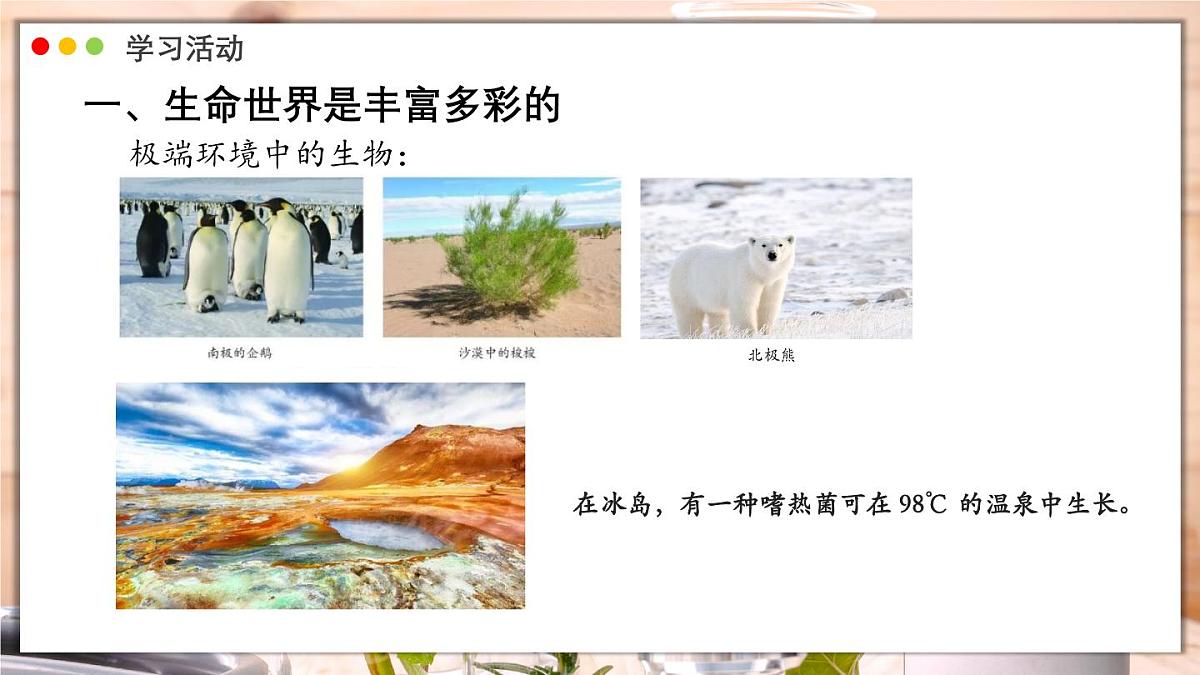 济南版生物（2024）七年级上册 1.1.1 生物具有基本的生命特征 课件第5页