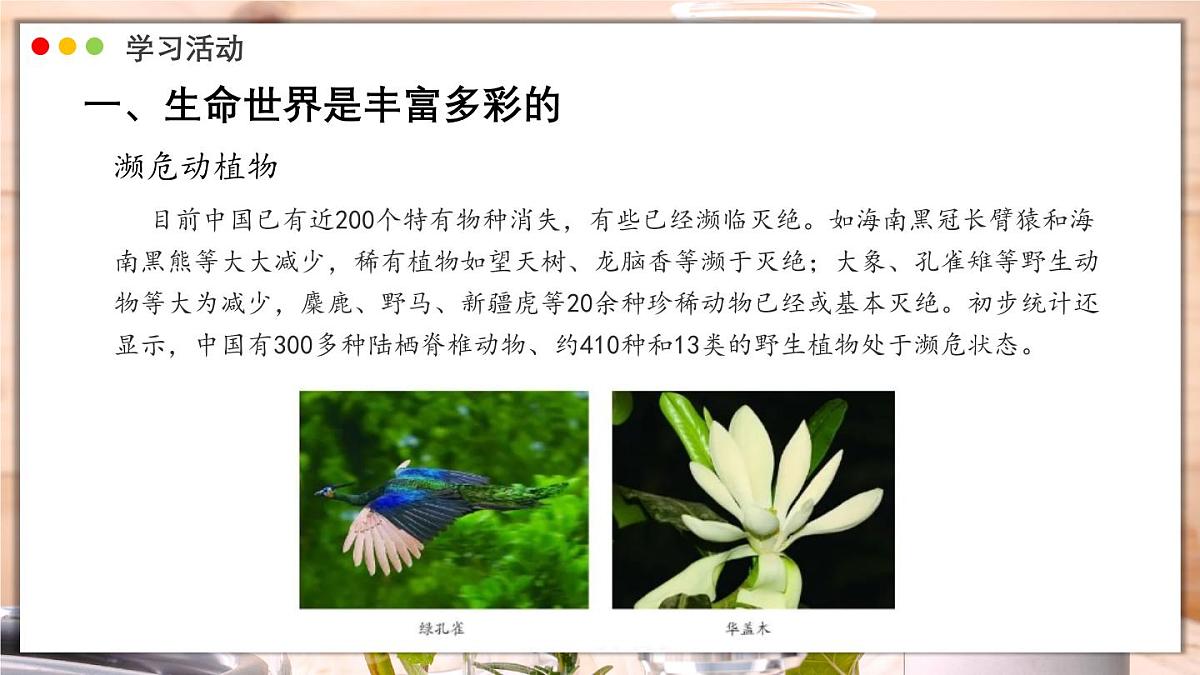 济南版生物（2024）七年级上册 1.1.1 生物具有基本的生命特征 课件第6页