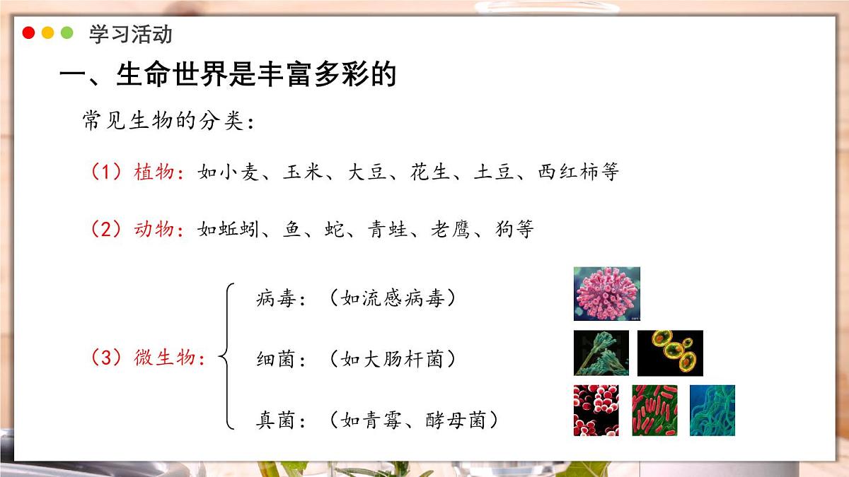 济南版生物（2024）七年级上册 1.1.1 生物具有基本的生命特征 课件第7页