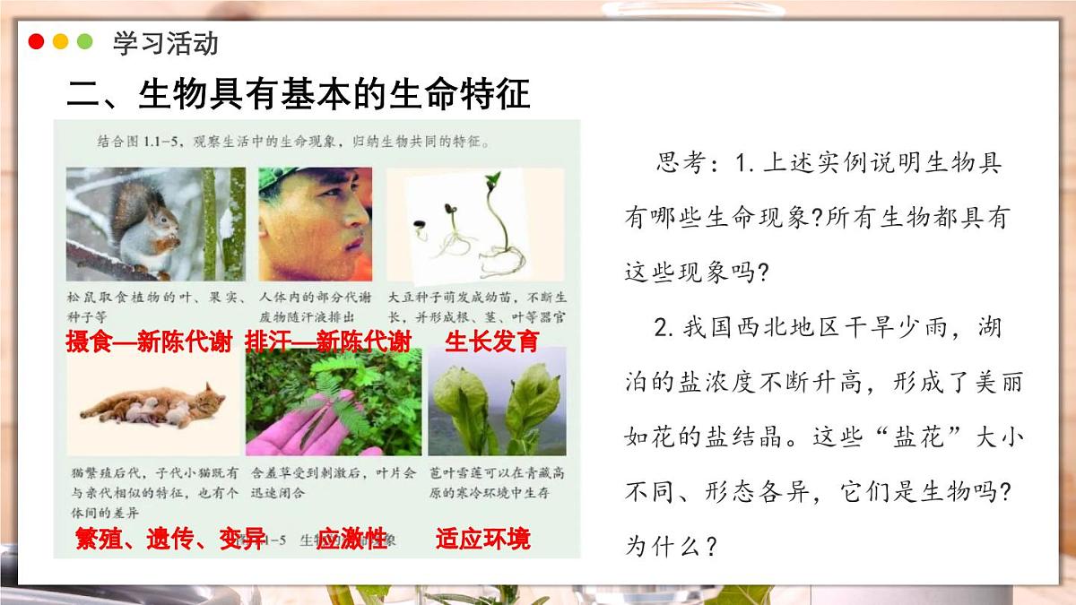 济南版生物（2024）七年级上册 1.1.1 生物具有基本的生命特征 课件第8页