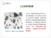 濟(jì)南版生物（2024）七年級(jí)上冊(cè) 1.1.2 探究實(shí)踐是研究生命現(xiàn)象的重要途徑  課件