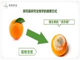 濟(jì)南版生物（2024）七年級(jí)上冊(cè) 1.1.2 探究實(shí)踐是研究生命現(xiàn)象的重要途徑  課件