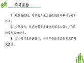 濟(jì)南版生物（2024）七年級(jí)上冊(cè) 1.1.3 研究生物學(xué)需要特定的器具-課件