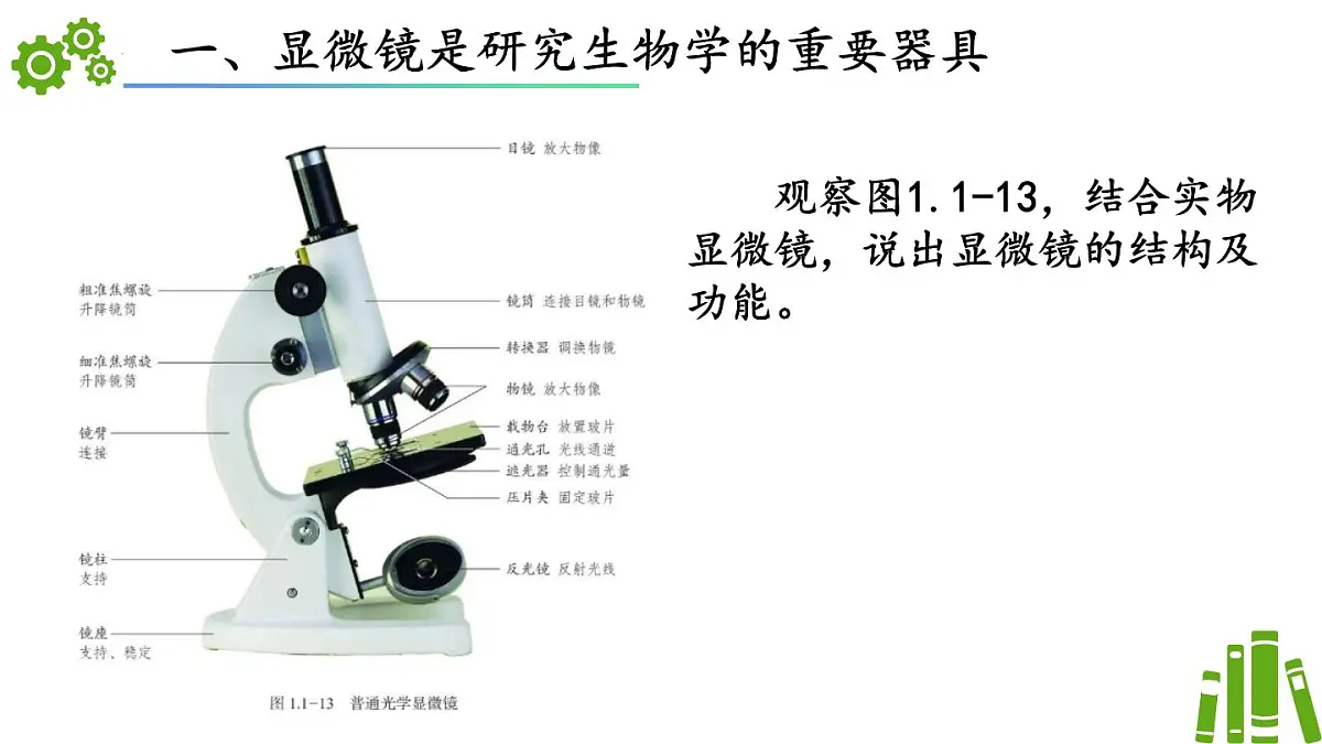 济南版生物（2024）七年级上册 1.1.3 研究生物学需要特定的器具-课件第4页