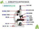 濟(jì)南版生物（2024）七年級(jí)上冊(cè) 1.1.3 研究生物學(xué)需要特定的器具-課件