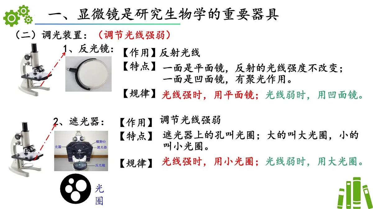 济南版生物（2024）七年级上册 1.1.3 研究生物学需要特定的器具-课件第7页