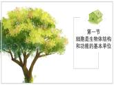 濟(jì)南版生物（2024）七年級上冊 1.2.1 細(xì)胞是生物體結(jié)構(gòu)和功能的基本單位 課件