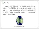 濟(jì)南版生物（2024）七年級上冊 1.2.1 細(xì)胞是生物體結(jié)構(gòu)和功能的基本單位 課件