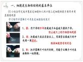 濟(jì)南版生物（2024）七年級上冊 1.2.1 細(xì)胞是生物體結(jié)構(gòu)和功能的基本單位 課件