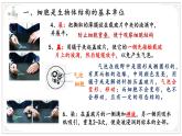 濟(jì)南版生物（2024）七年級上冊 1.2.1 細(xì)胞是生物體結(jié)構(gòu)和功能的基本單位 課件