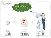 濟(jì)南版生物（2024）七年級(jí)上冊(cè) 1.2.2 細(xì)胞通過分裂和分化形成不同組織 課件 (2)
