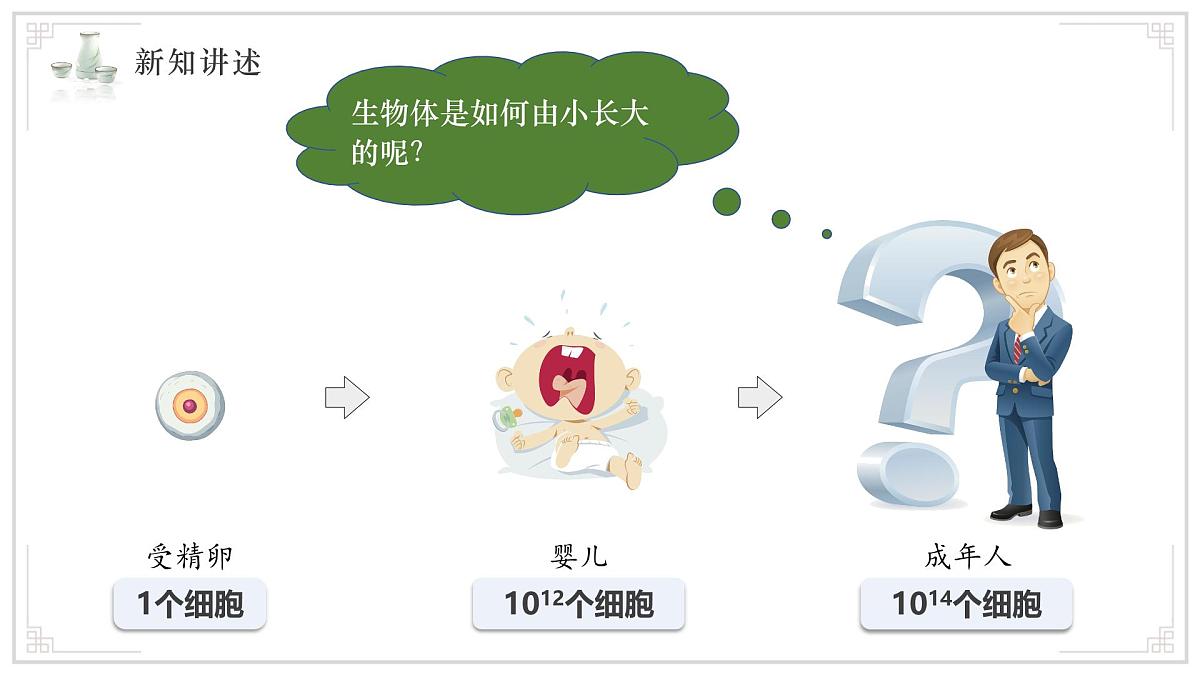 济南版生物（2024）七年级上册 1.2.2 细胞通过分裂和分化形成不同组织 课件 (2)第5页