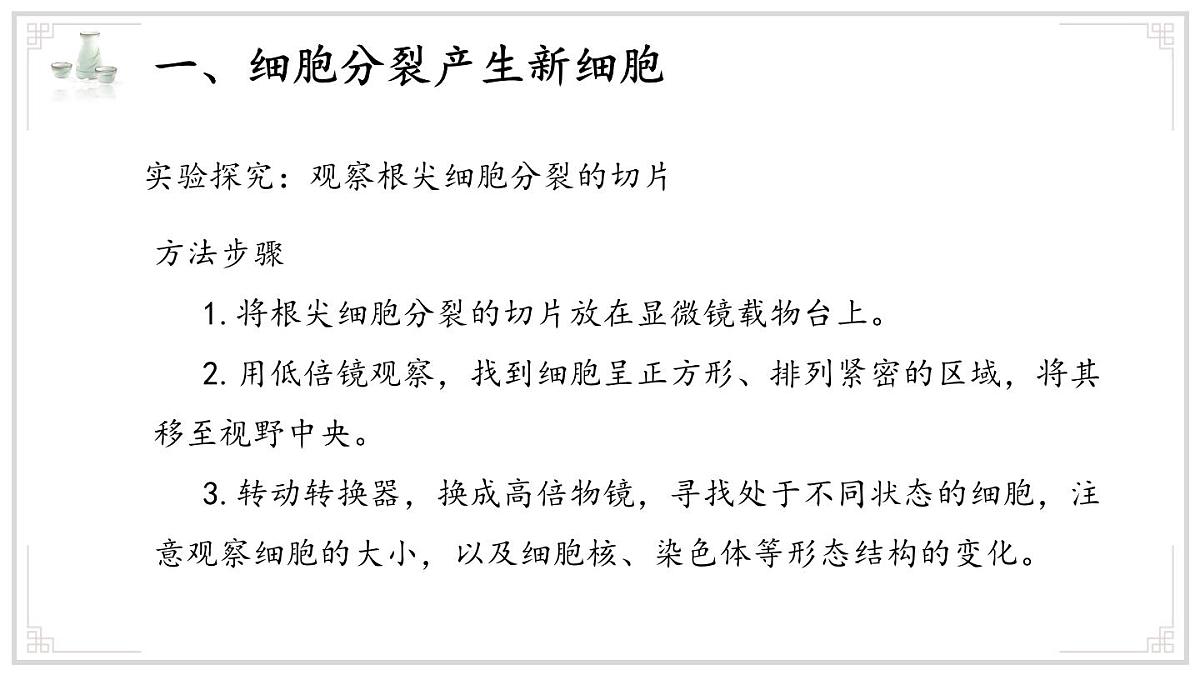 济南版生物（2024）七年级上册 1.2.2 细胞通过分裂和分化形成不同组织 课件第6页