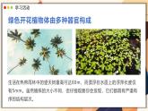 濟南版生物（2024）七年級上冊 1.2.3 生物體在結(jié)構(gòu)和功能上是一個統(tǒng)一整體 課件