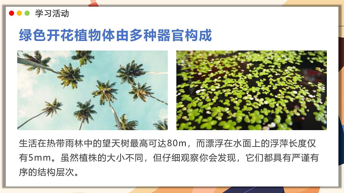 济南版生物（2024）七年级上册 1.2.3 生物体在结构和功能上是一个统一整体 课件第4页