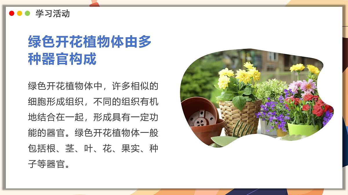 济南版生物（2024）七年级上册 1.2.3 生物体在结构和功能上是一个统一整体 课件第7页